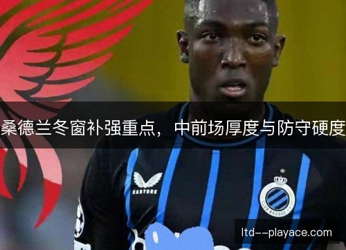 桑德兰冬窗补强重点,中前场厚度与防守硬度 桑德兰冬窗补强重点,中前场厚度与防守硬度